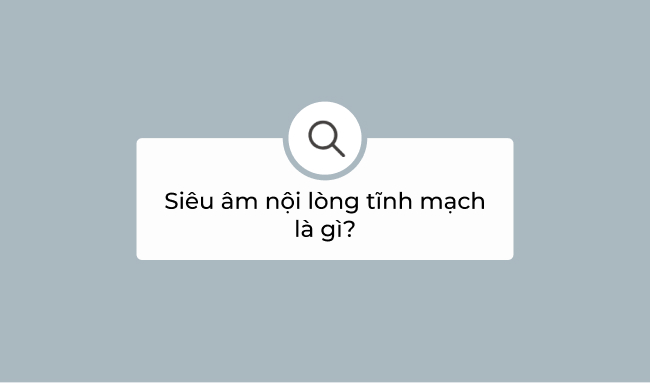 IVUS: Siêu âm nội lòng tĩnh mạch 1 Siêu âm nội lòng tĩnh mạch là gì