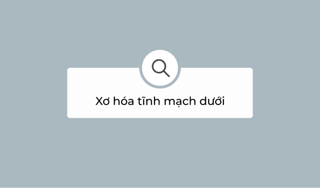 Xơ hoá tĩnh mạch dưới hướng dẫn siêu âm 6 Xơ hoá tĩnh mạch dưới hướng dẫn siêu âm