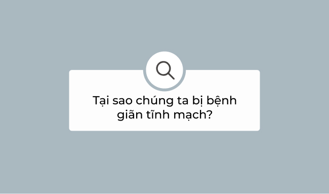 Tại sao chúng ta bị bệnh giãn tĩnh mạch? 9 Tại sao chúng ta bị bệnh giãn tĩnh mạch?